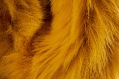 OVER-THE-POP-YELLOW-06